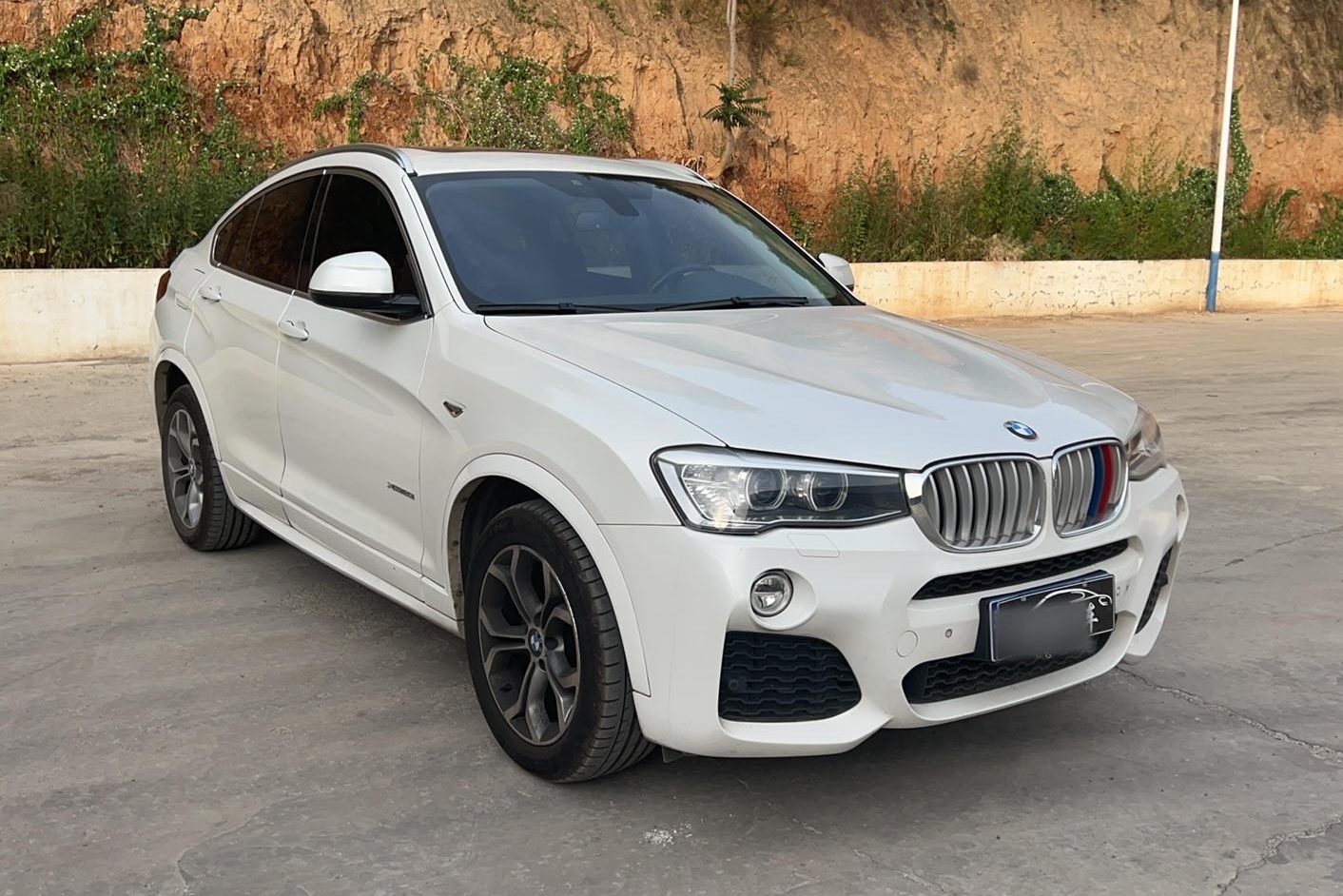 宝马X4 2014款 xDrive20i X设计套装(进口)