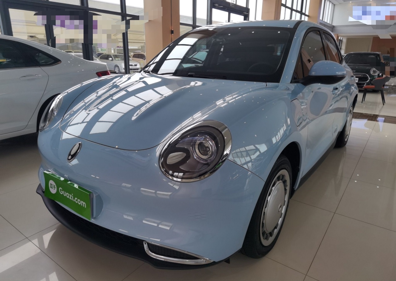 欧拉好猫 2021款 400km标准续航 缪斯版 三元锂