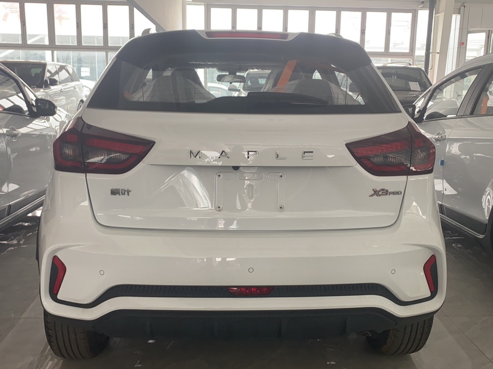 睿蓝汽车X3 PRO 2022款 1.5L CVT小飒