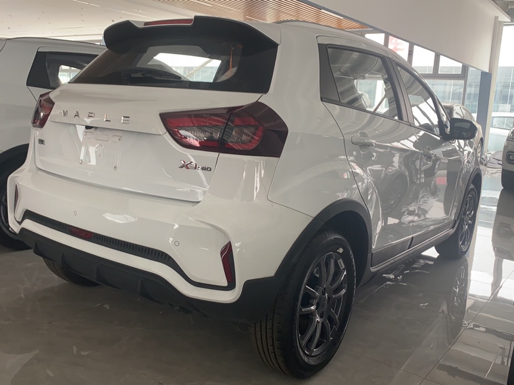 睿蓝汽车X3 PRO 2022款 1.5L CVT小飒