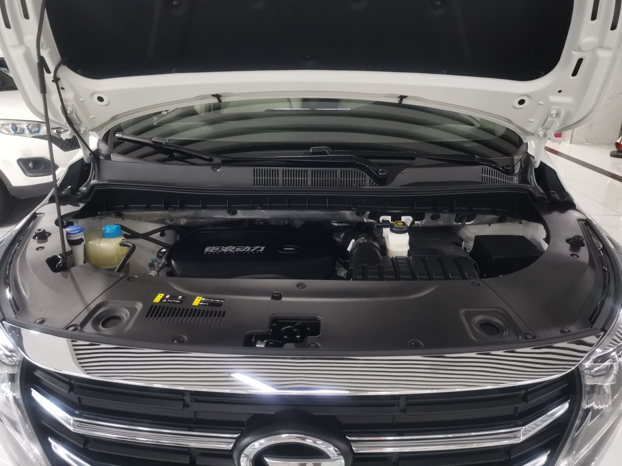 广汽传祺 传祺M8 2021款 领秀系列 390T 尊享版