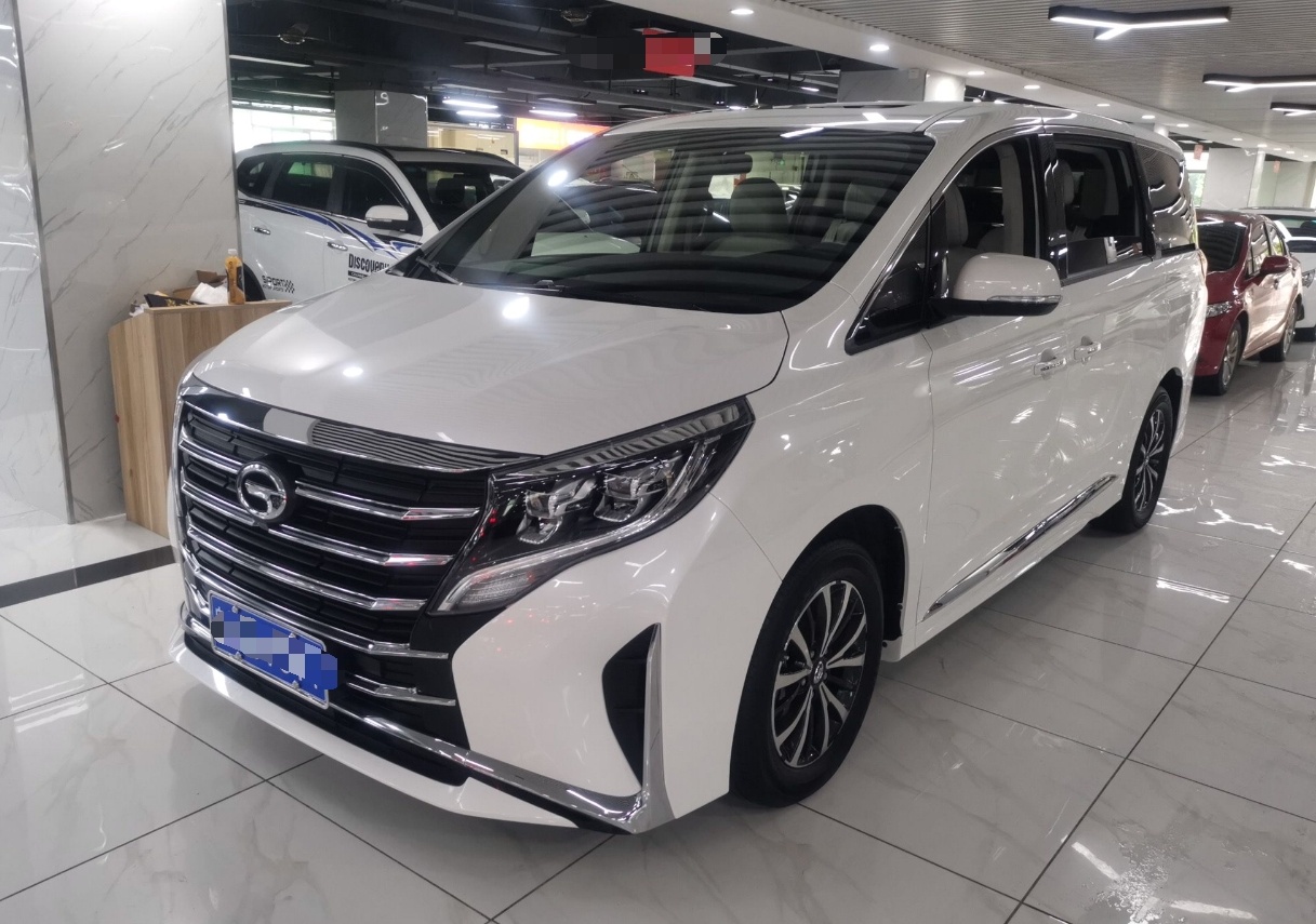 广汽传祺 传祺M8 2021款 领秀系列 390T 尊享版