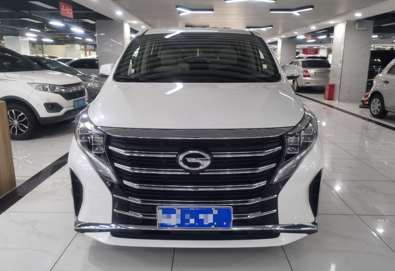 广汽传祺 传祺M8 2021款 领秀系列 390T 尊享版