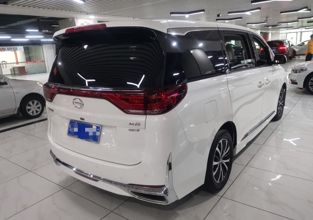 广汽传祺 传祺M8 2021款 领秀系列 390T 尊享版