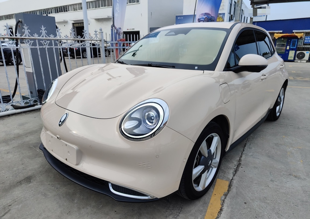 欧拉好猫 2021款 500km长续航 波塞冬版 三元锂