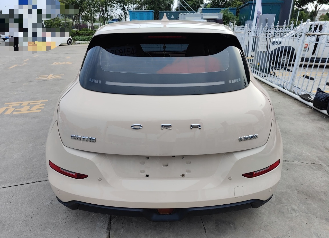 欧拉好猫 2021款 500km长续航 波塞冬版 三元锂