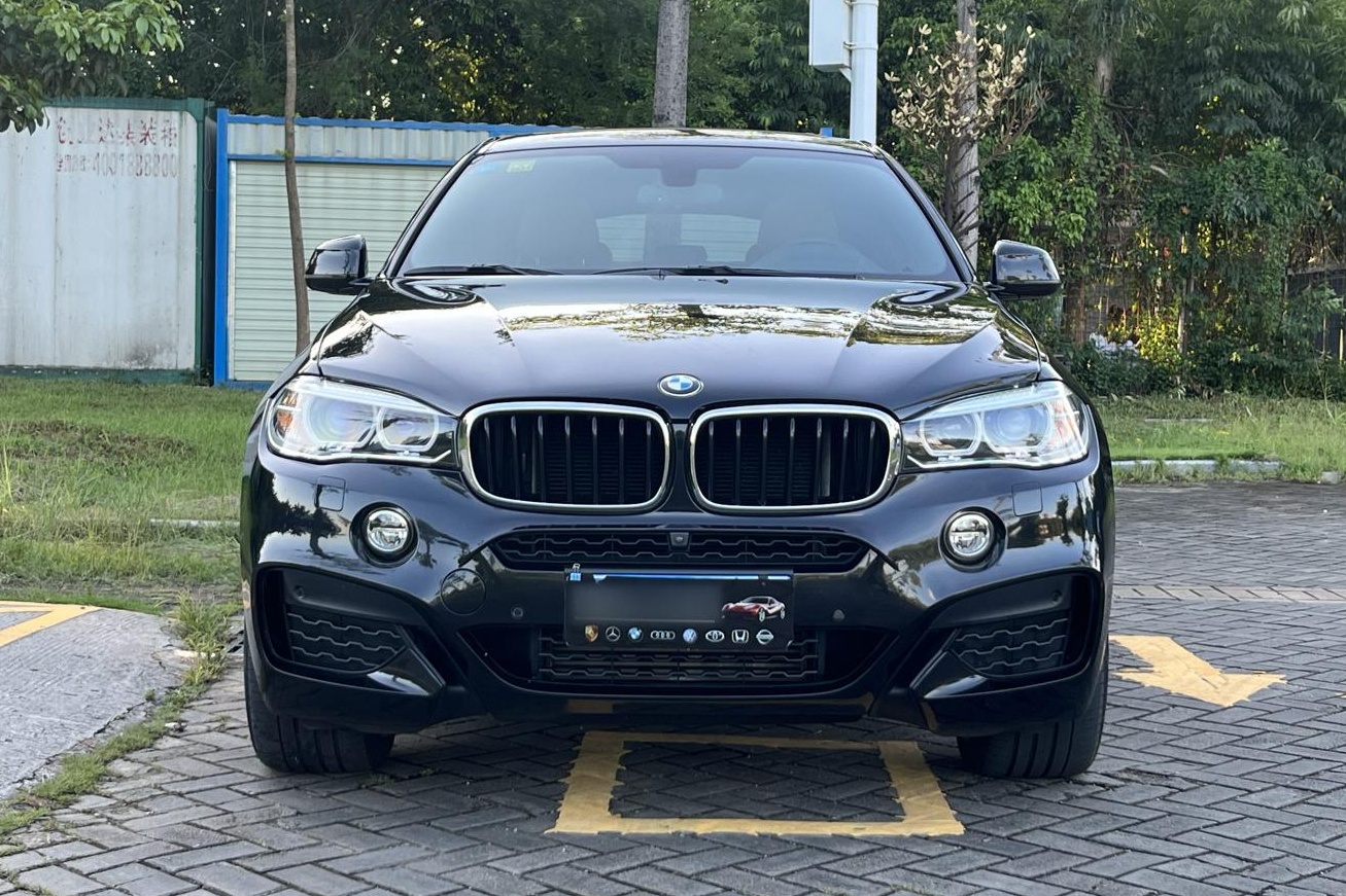 宝马X6 2019款 xDrive35i M运动套装(进口)