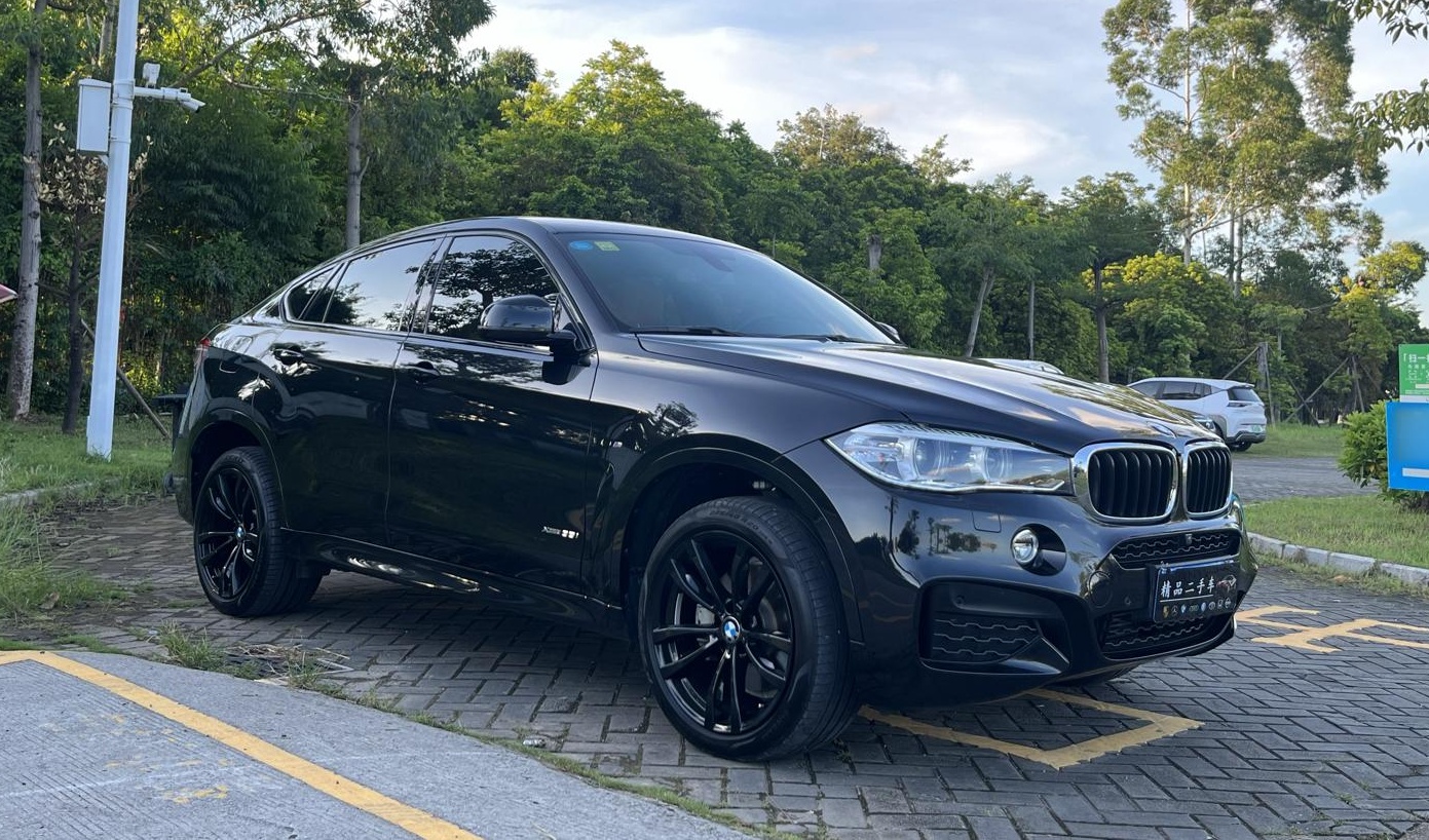 宝马X6 2019款 xDrive35i M运动套装(进口)