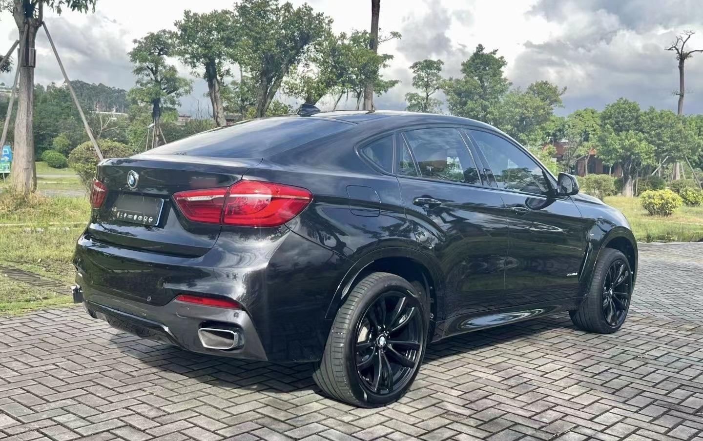 宝马X6 2019款 xDrive35i M运动套装(进口)