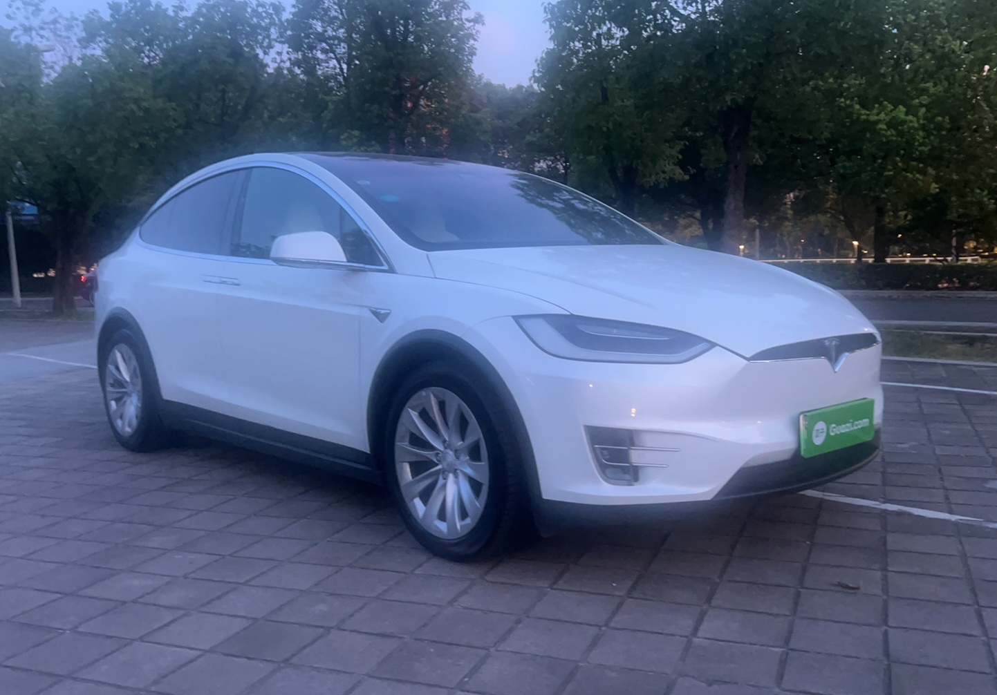 特斯拉Model X 2016款 Model X 75D 7座