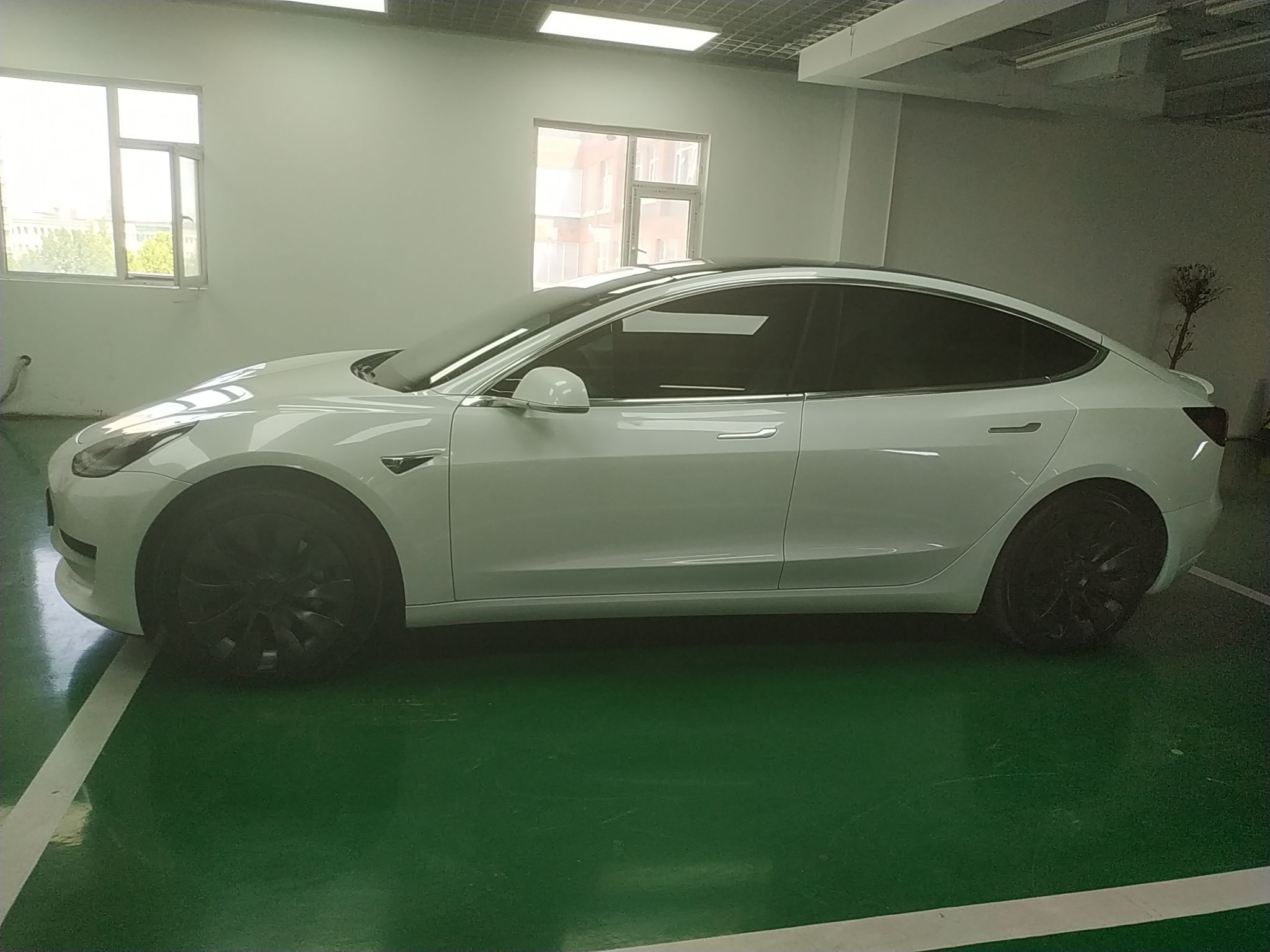 特斯拉 Model 3 2020款 标准续航后驱升级版