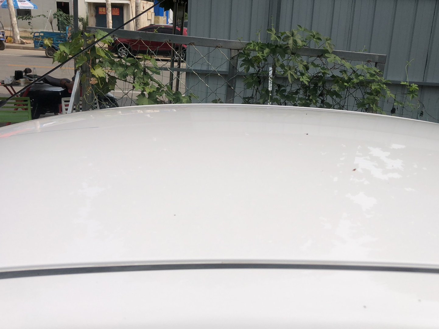 雪佛兰 赛欧 2010款 三厢 1.2L AMT理想版