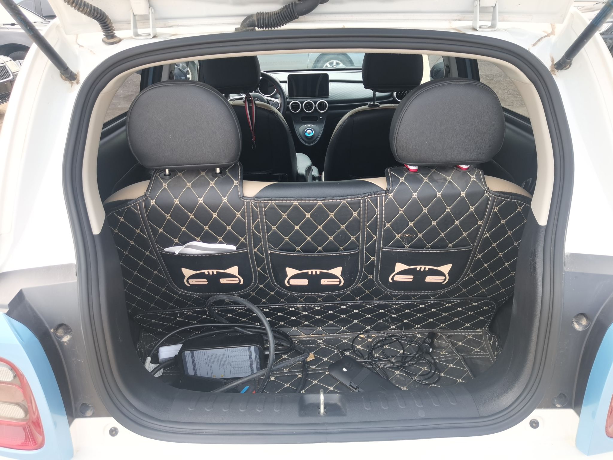 欧拉黑猫 2022款 301km 基础型 三元锂