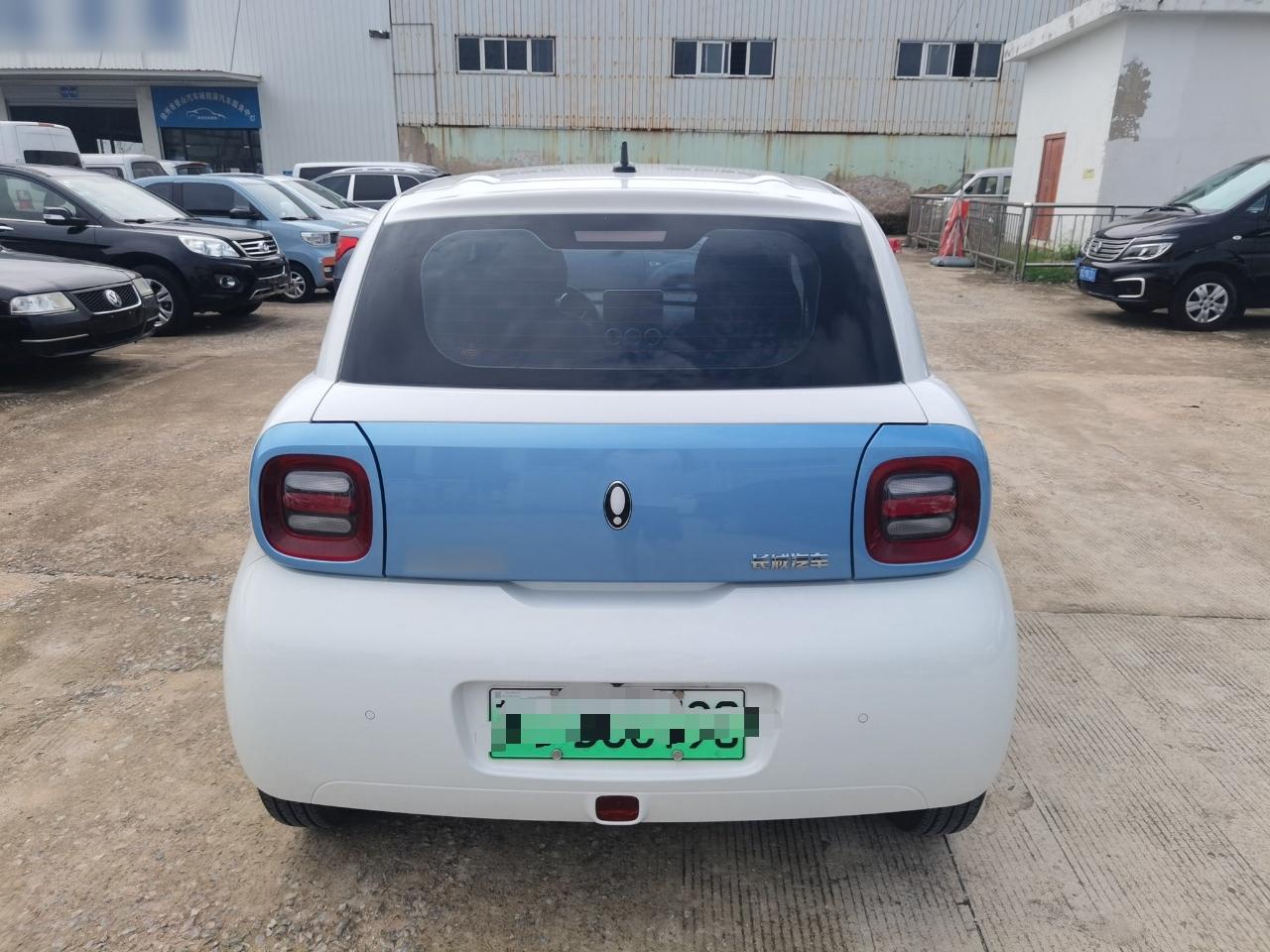 欧拉黑猫 2022款 301km 基础型 三元锂