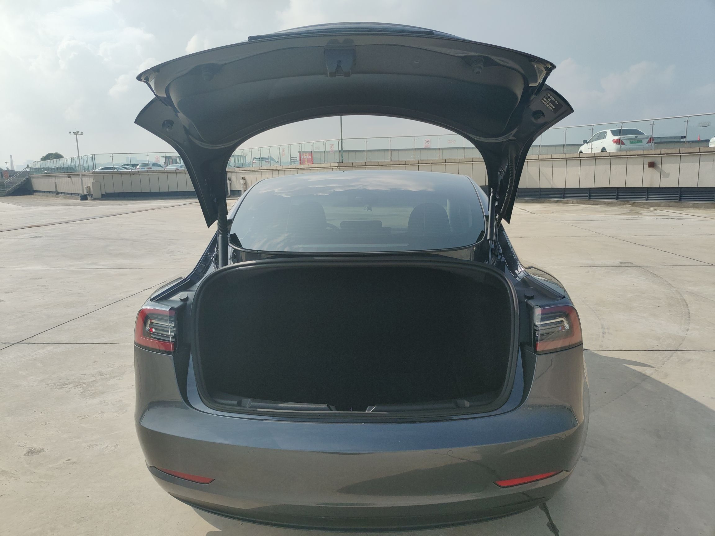 特斯拉 Model 3 2021款 标准续航后驱升级版 3D6