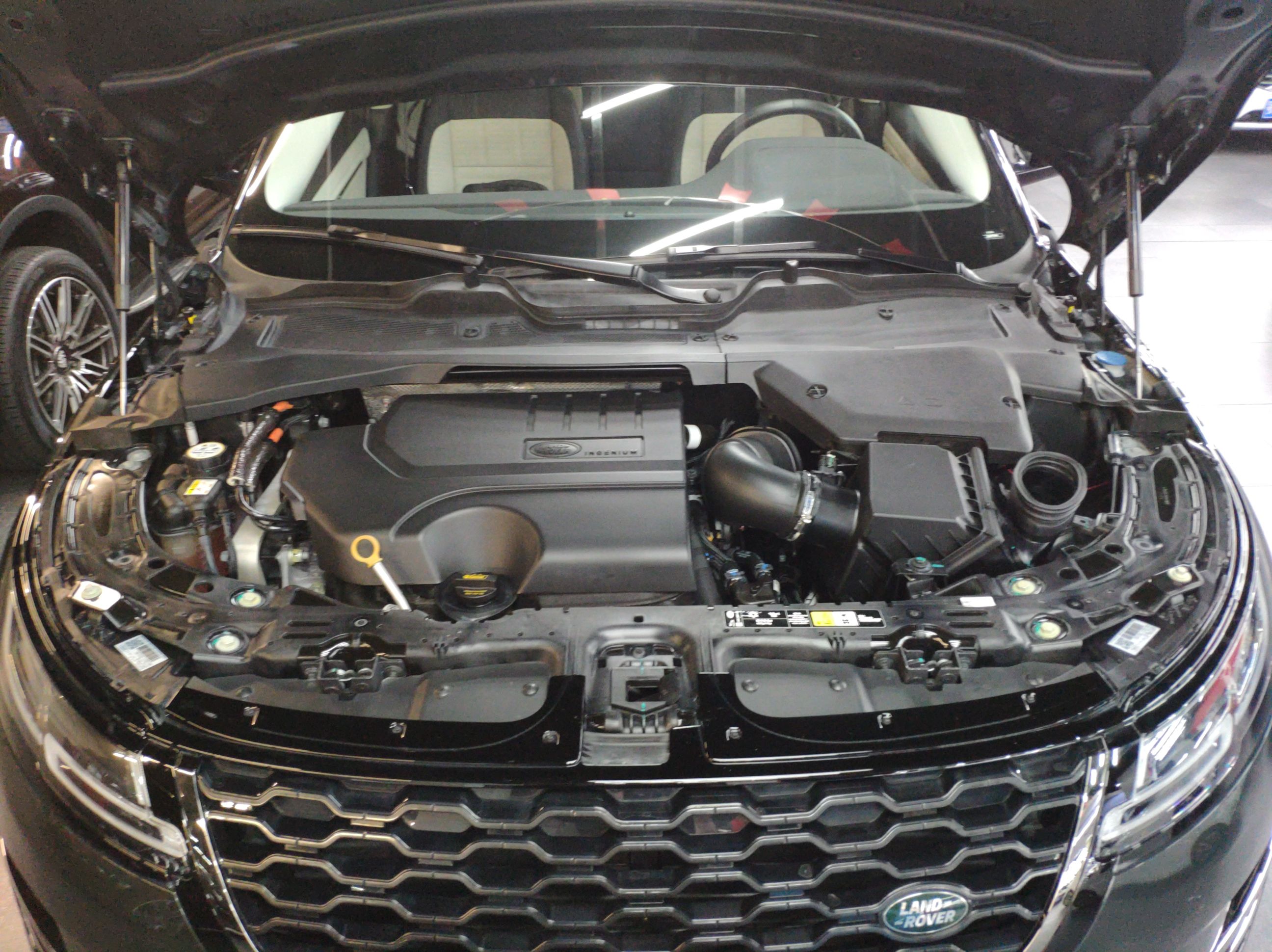 路虎 揽胜极光 2021款 极光L 249PS R-Dynamic First edition 首发版