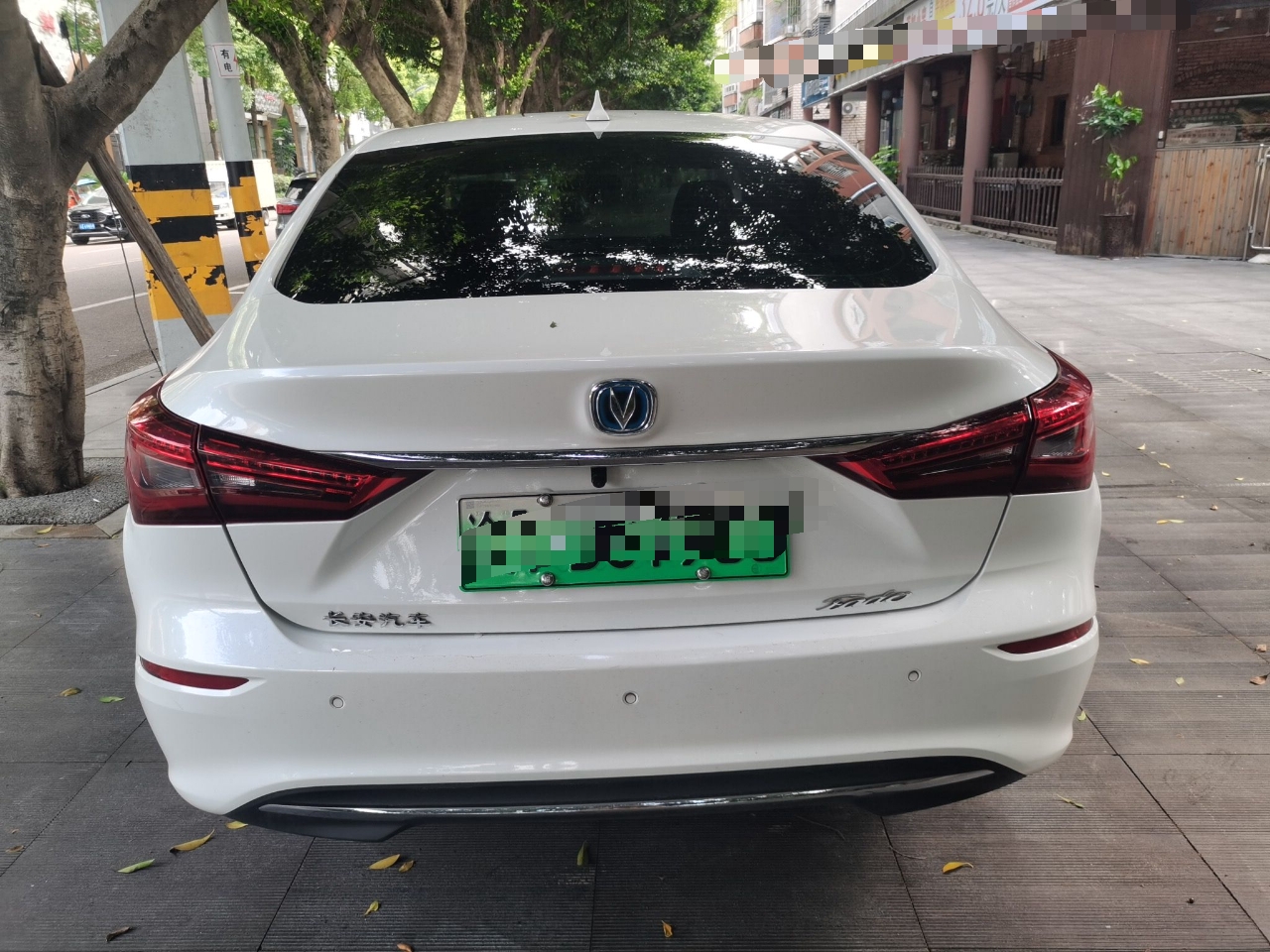 长安 逸动新能源 2019款 EV460 共享版