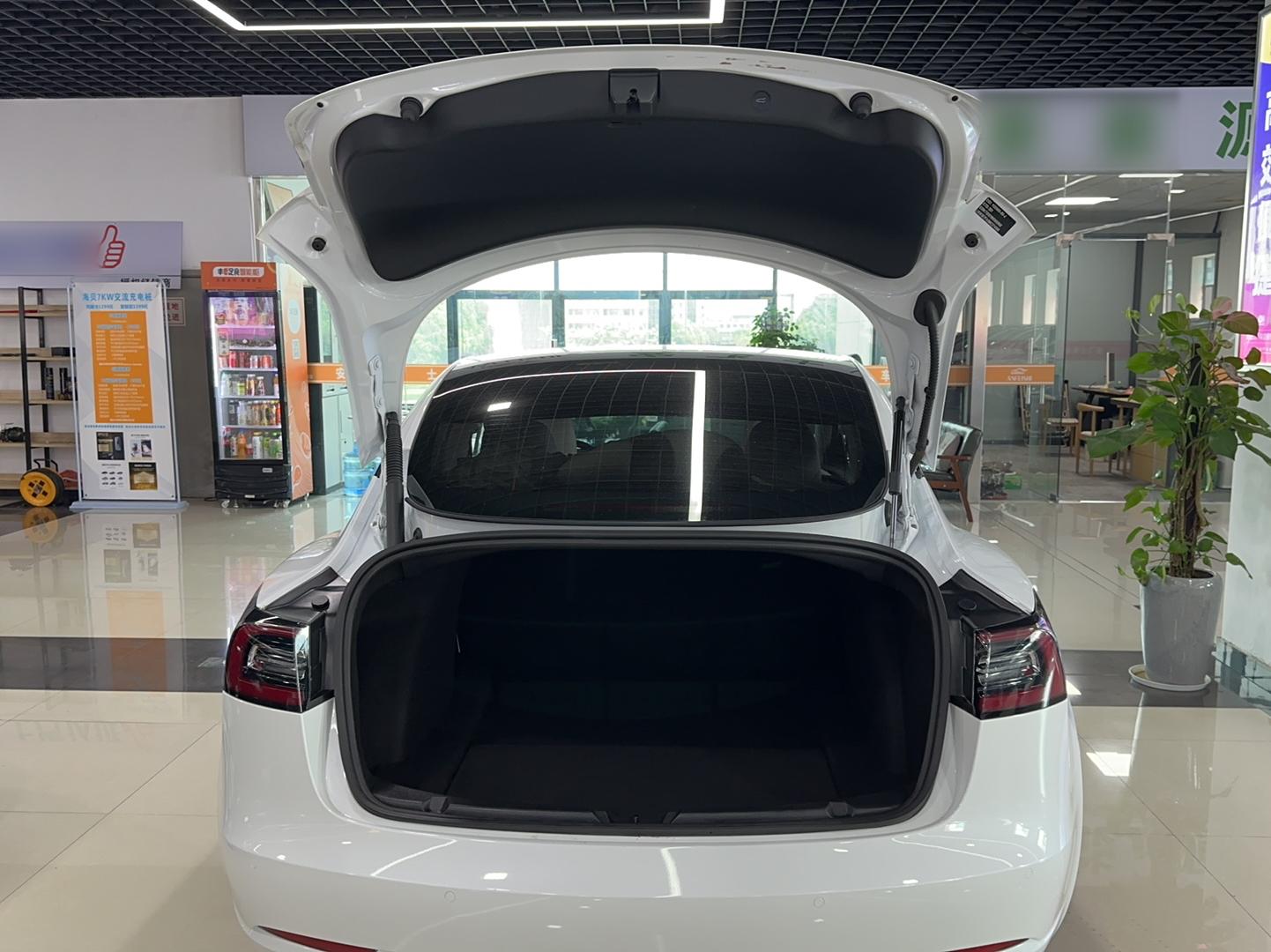 特斯拉 Model 3 2021款 改款 标准续航后驱升级版 3D1