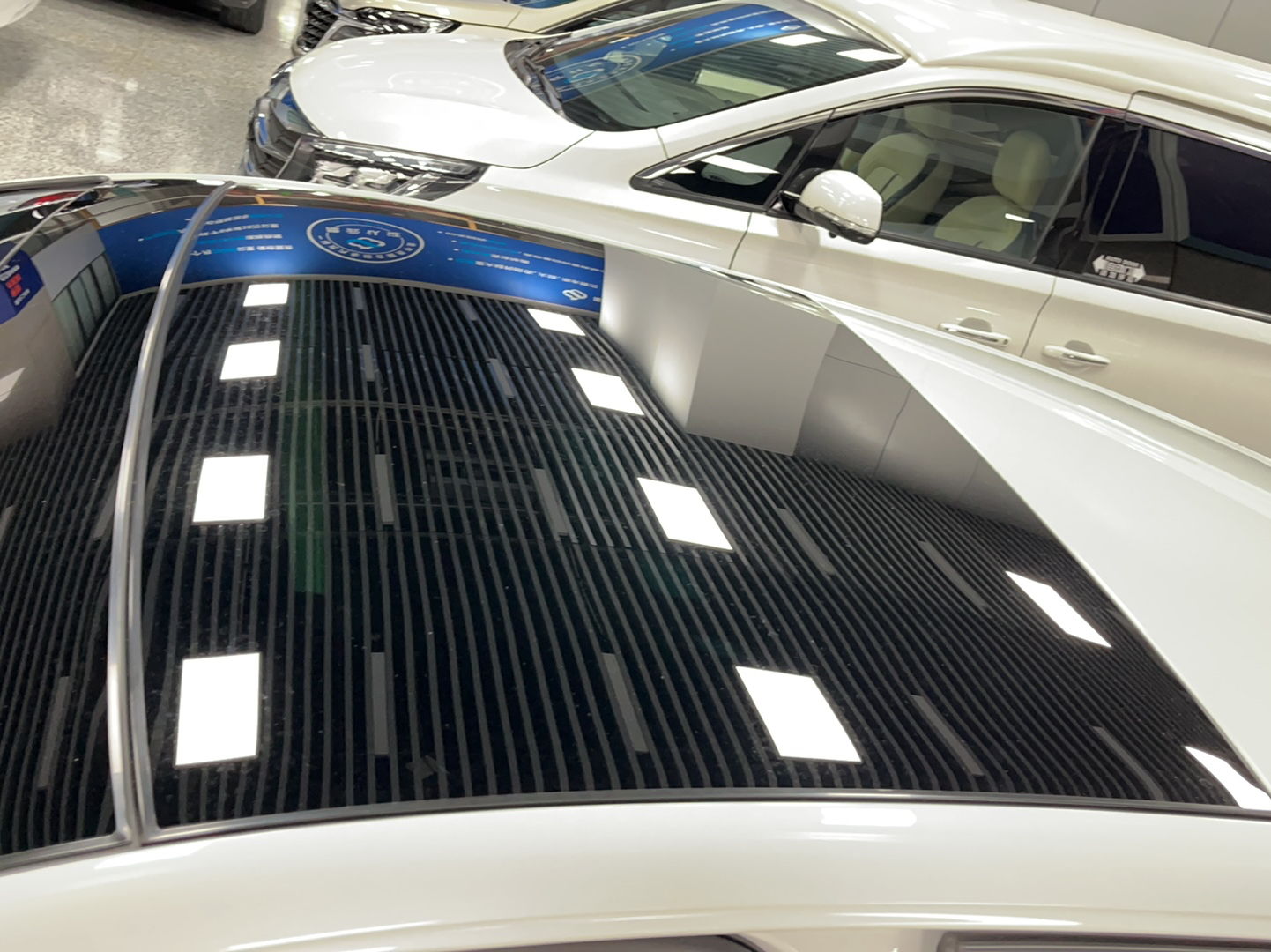 大众 高尔夫 2023款 280TSI DSG R-Line Lite