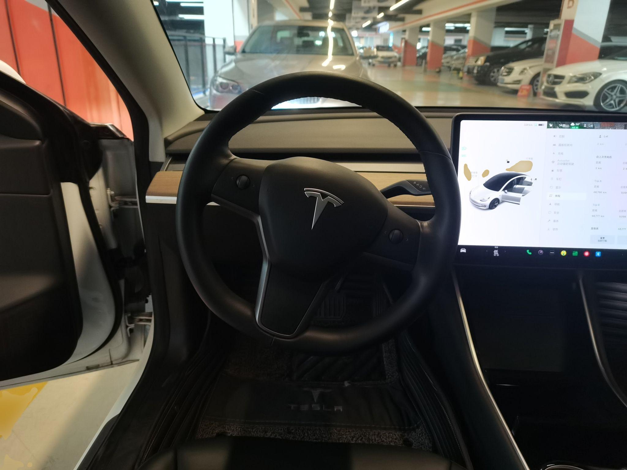 特斯拉 Model 3 2019款 长续航后驱版(进口)