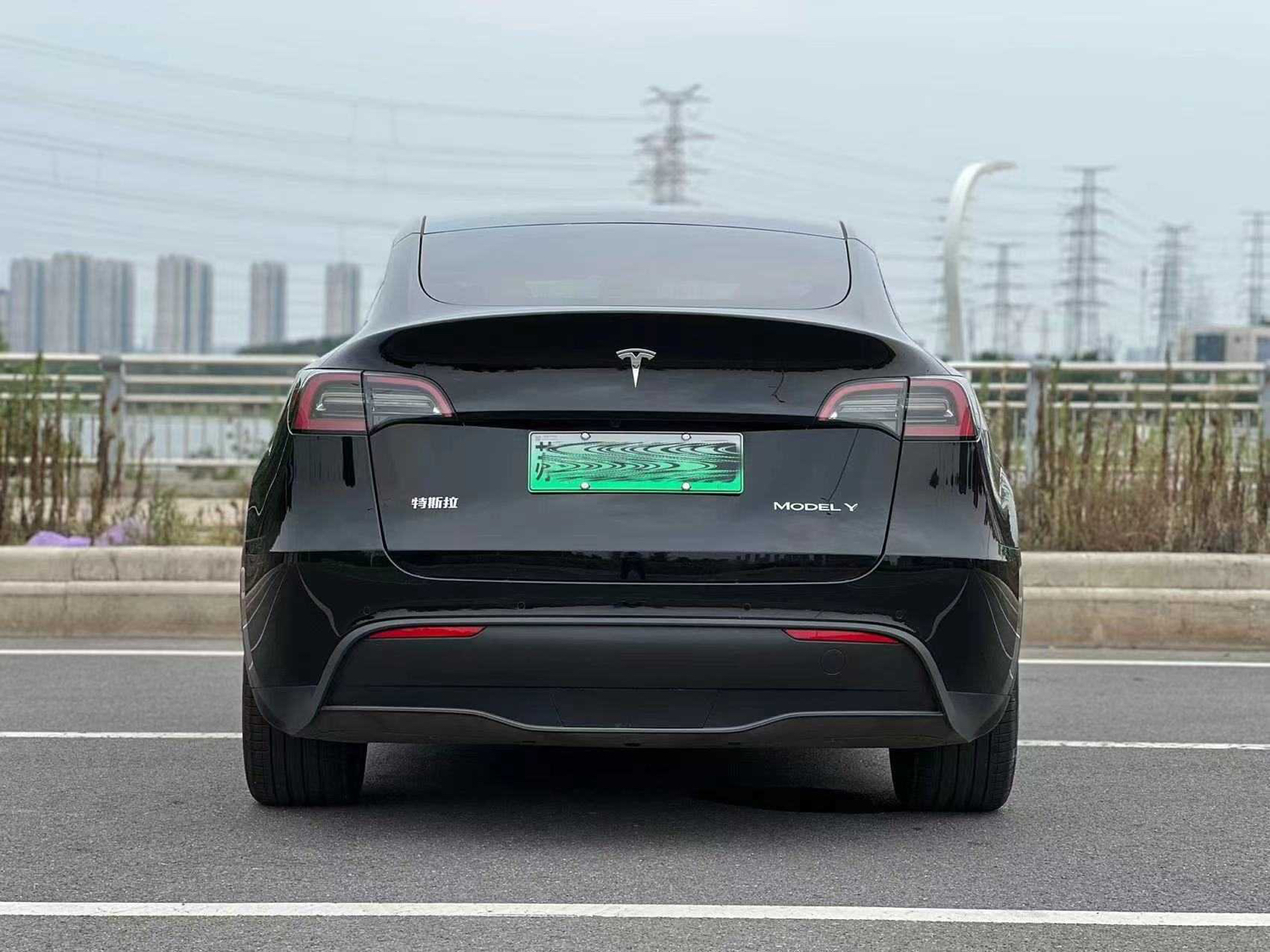 特斯拉 Model Y 2021款 改款 长续航全轮驱动版 3D5