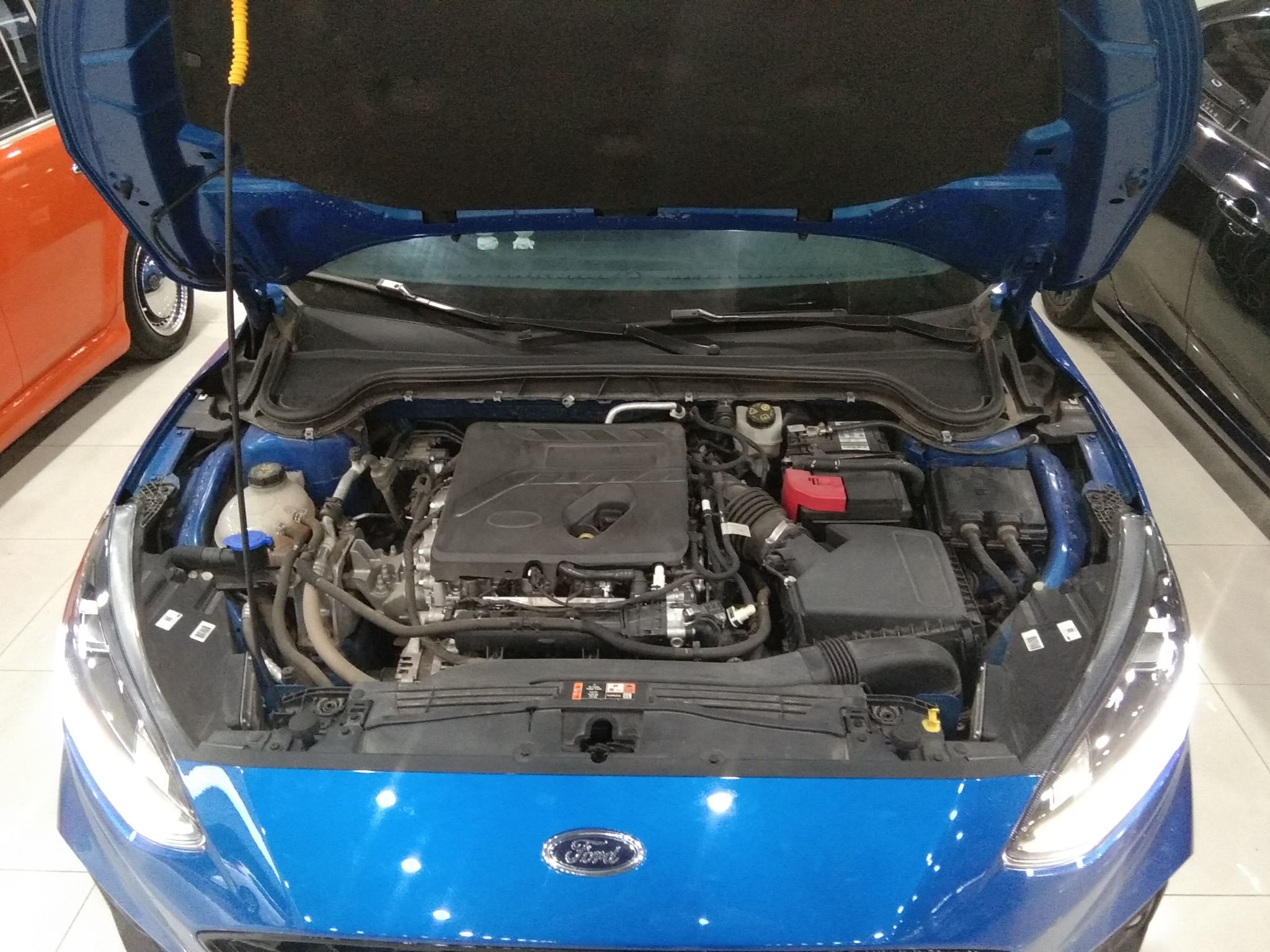 福特 福克斯 2021款 三厢 EcoBoost 180 自动ST Line