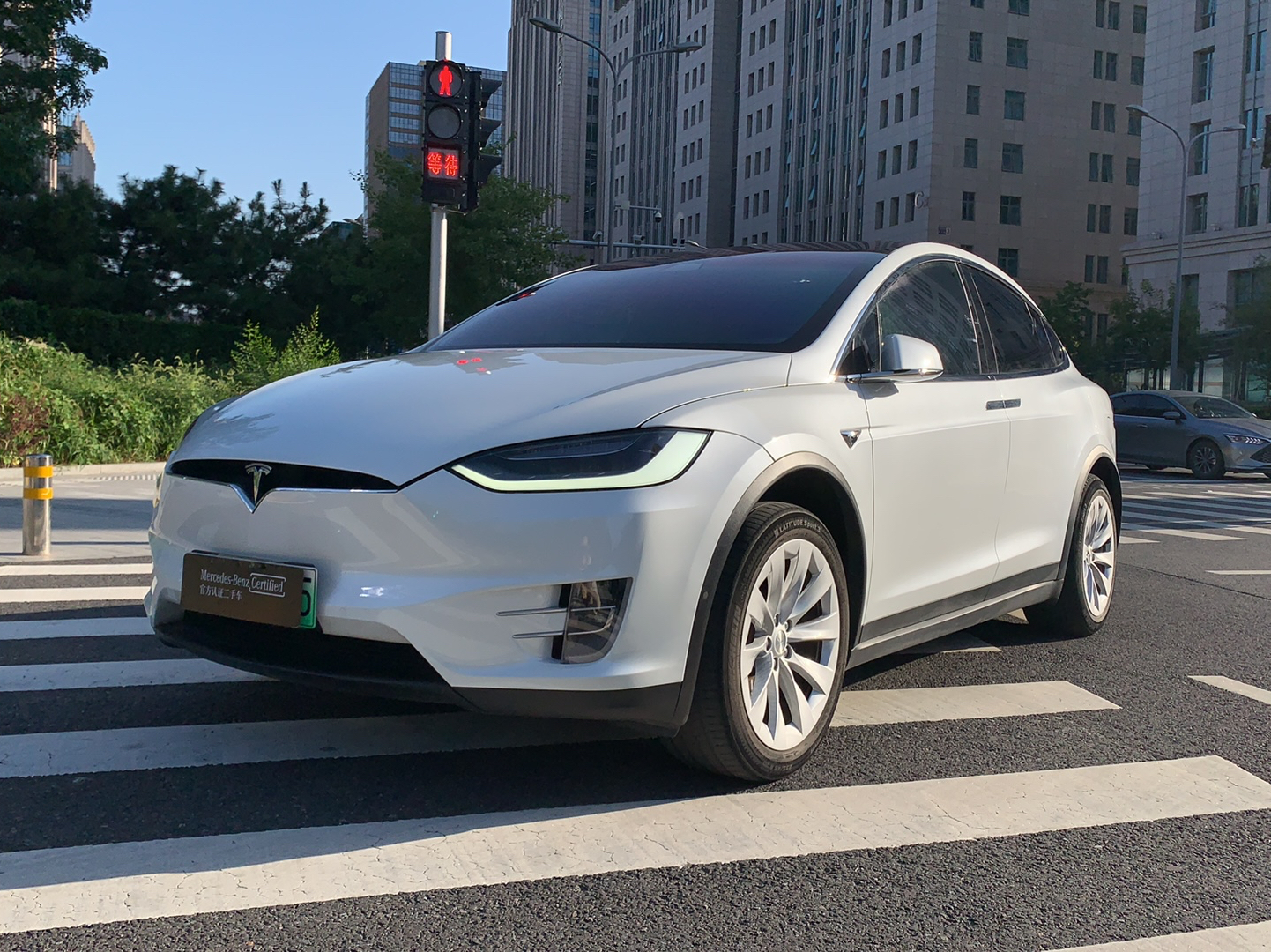 特斯拉Model X 2019款 长续航版(进口)