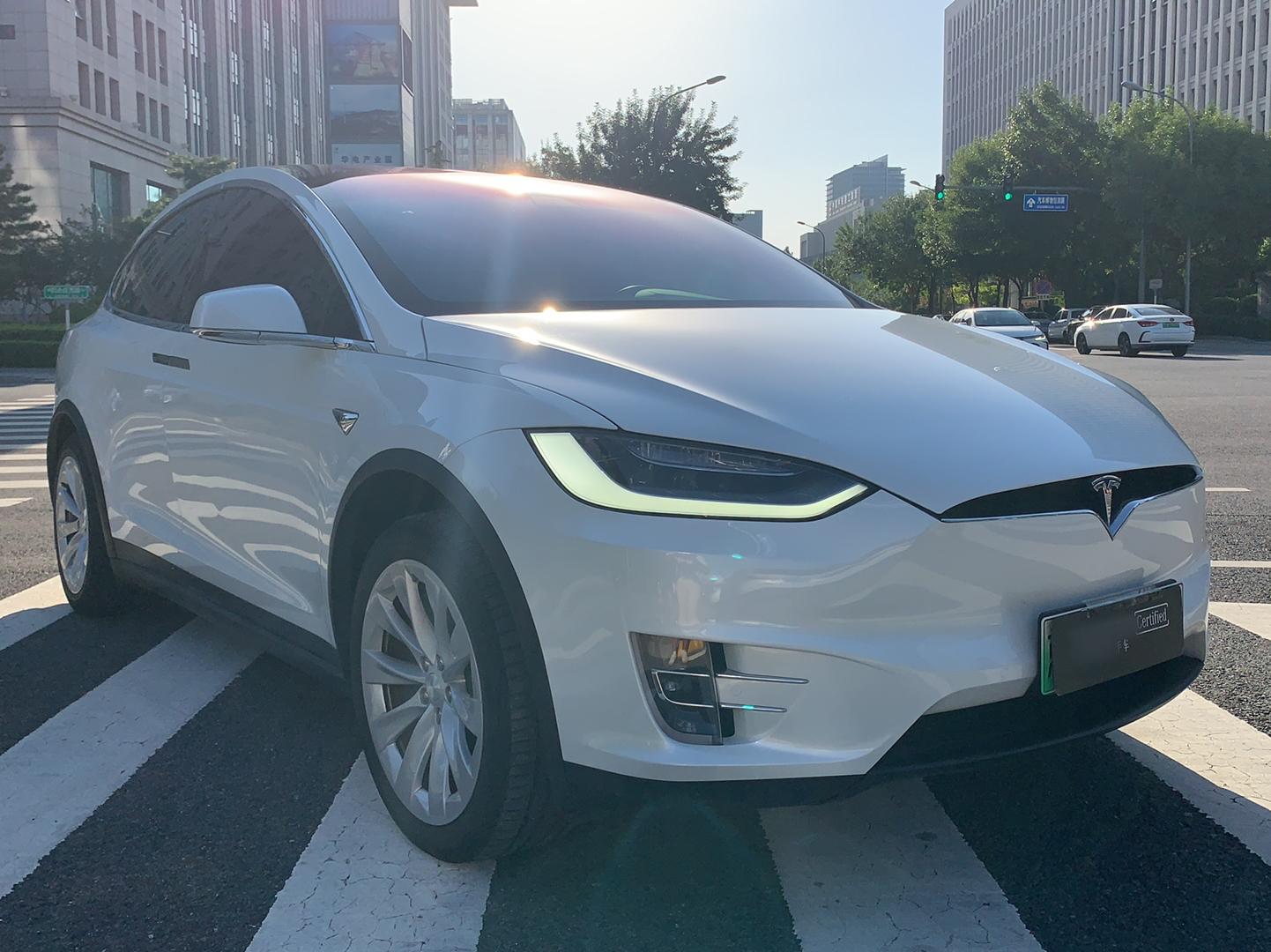 特斯拉Model X 2019款 长续航版(进口)