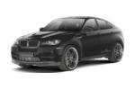 AC Schnitzer X6