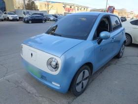 欧拉黑猫 2021款 301km 基础型