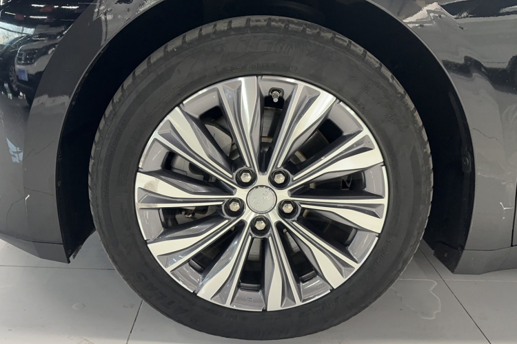 红旗E-QM5 2022款 431km 充电乐享版车身外观6003