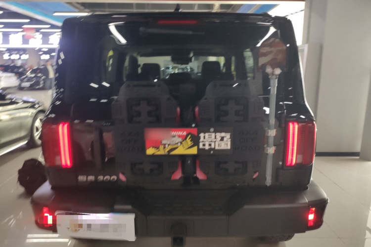 坦克300 2024款 2.0T 征服者车身外观6