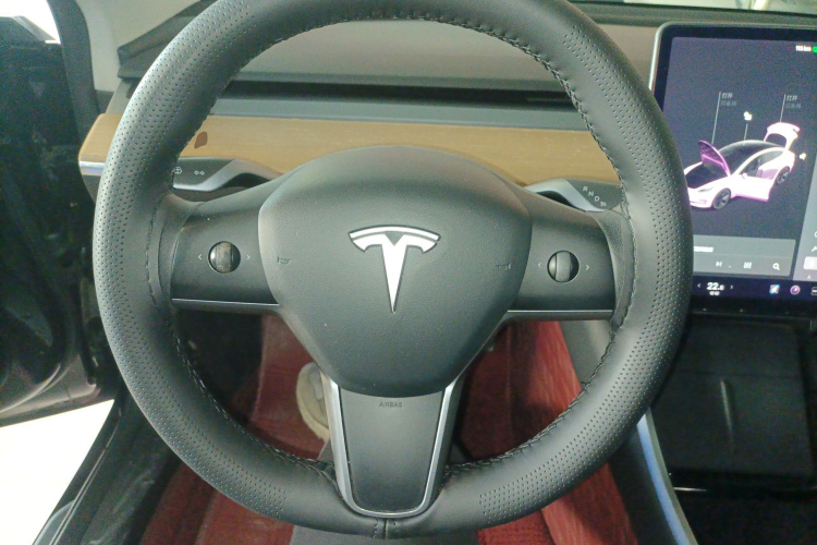 特斯拉 Model 3 2020款 标准续航后驱升级版局部细节13