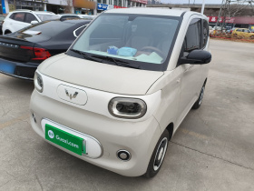 五菱汽车 宏光MINIEV 2024款 第三代 215km 青春版