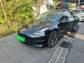 特斯拉 Model 3(进口) 2019款 长续航全轮驱动版