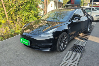 特斯拉 Model 3(进口) 2019款 长续航全轮驱动版