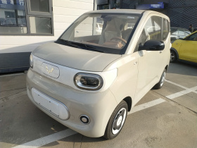 五菱汽车 宏光MINIEV 2024款 第三代 215km 青春版