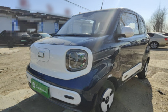 奔腾小马 2026款 222km 炫彩马