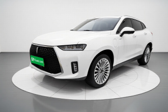 魏牌 P8 2018款 2.0T 旗舰型