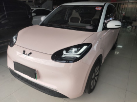 五菱汽车 五菱缤果 2023款 333km 灵犀互联款