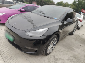 特斯拉 Model Y 2021款 标准续航后驱版