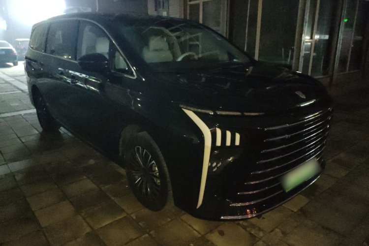 东风风行 星海V9 2024款 1.5TD 200km 青云梯系列 尊贵型车身外观6002