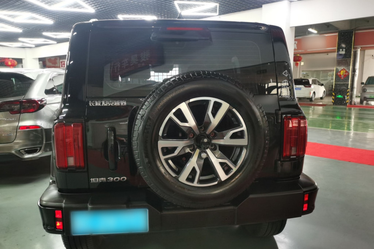 坦克300 2024款 2.0T 穿越者车身外观6