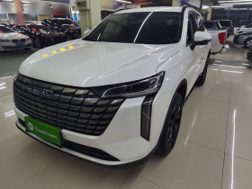 哈弗H6 2024款 2.0T 四驱Max