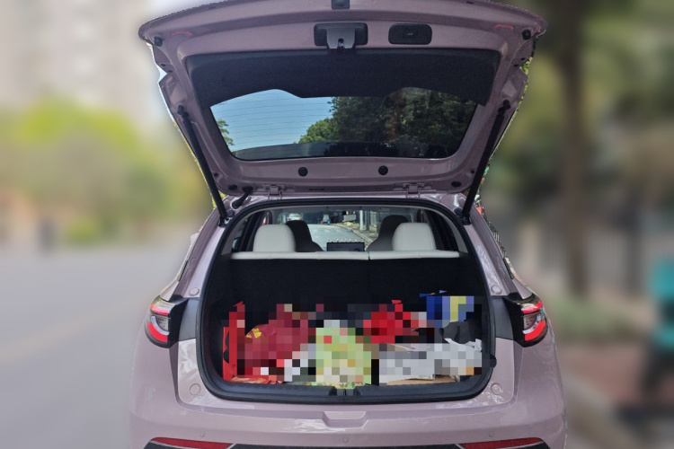 吉利银河 星愿 2025款 310km 梦想版中控内饰23