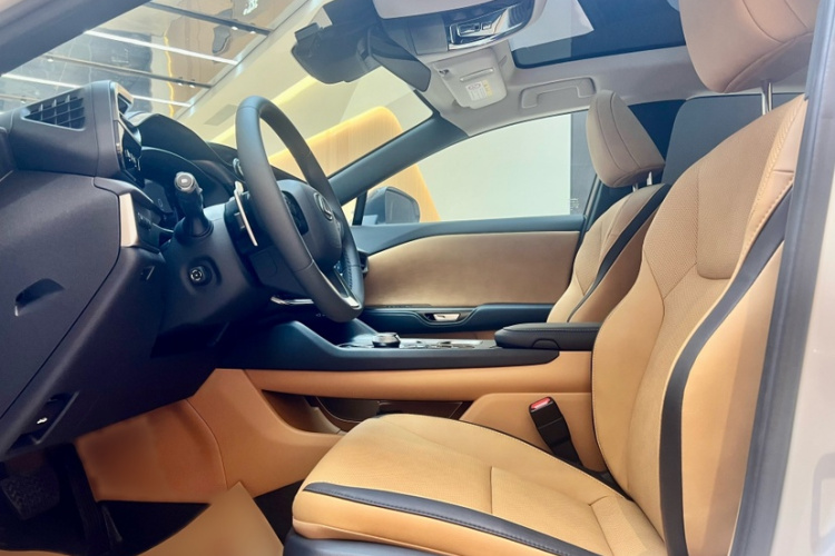 雷克萨斯RZ 2023款 450e 四驱纵享版局部细节19