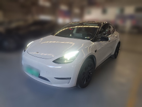 特斯拉 Model Y 2021款 标准续航后驱版
