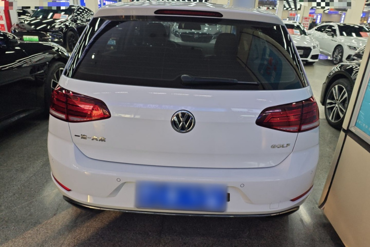 大众 高尔夫 2018款 1.6L 自动舒适型车身外观6004