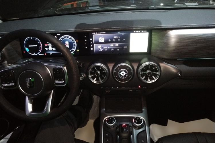 坦克300 2024款 2.0T 征服者中控内饰12