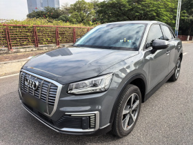 奥迪Q2L e-tron 2019款 Q2L e-tron 纯电智酷型